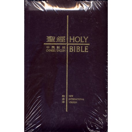Holy Bible – CUV/NIV Trim Size Burgundy Leather Zipper (Traditional Chinese Edition)