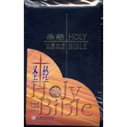 Holy Bible – CUV/NIV Trim Size Black Leather Zipper (Simplified Chinese Edition)