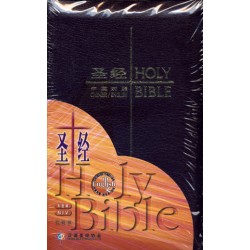 Holy Bible – CUV/NIV Trim Size Burgundy Leather Zipper (Simplified Chinese Edition)