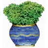 Green Plant, blue pot