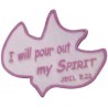 I Will Pour My Spirit