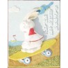 Rabbit On Skateboard (In Chinese)